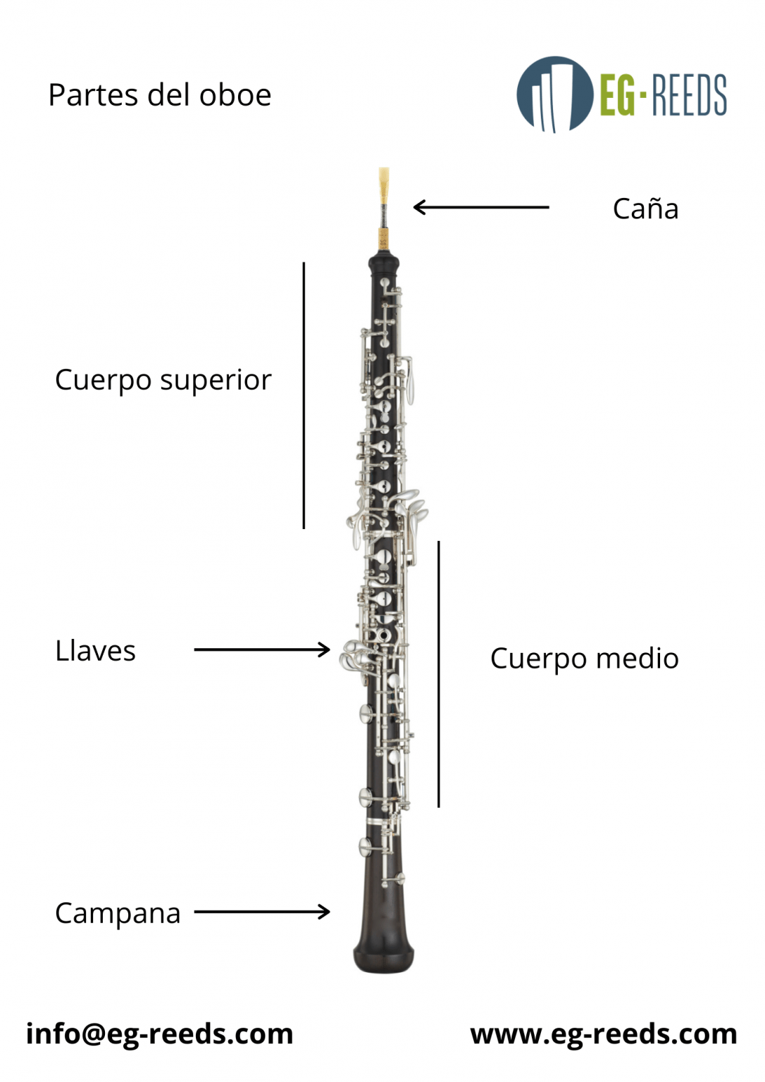 Las partes del oboe